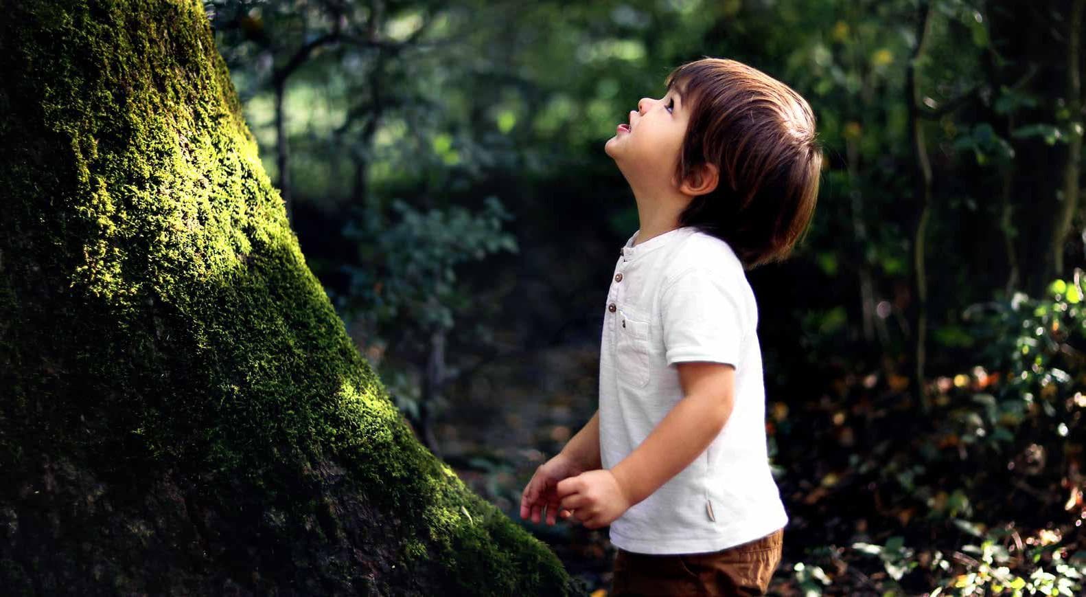 Looking to the future of the early years