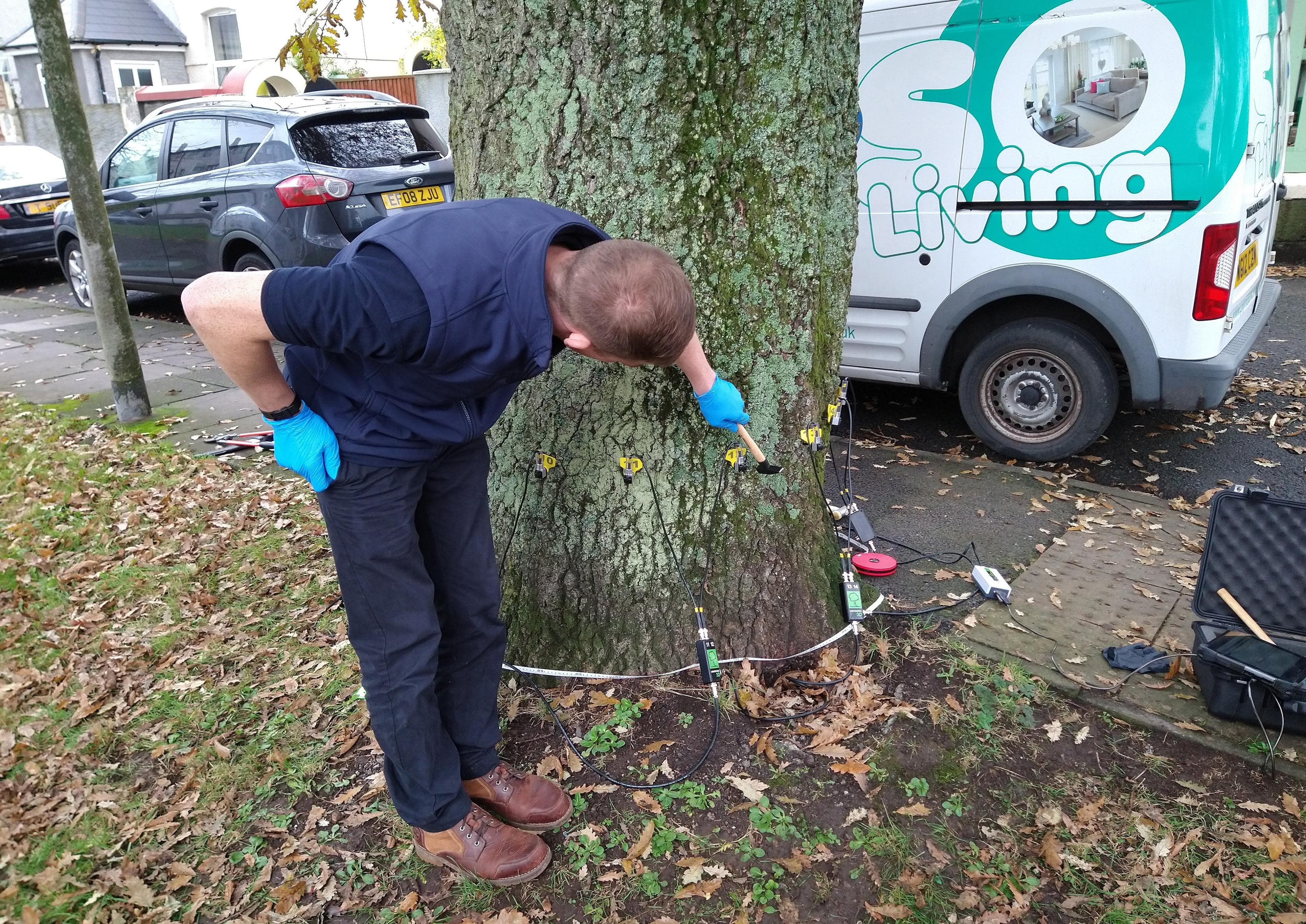 Where there’s a wilt, there’s a way