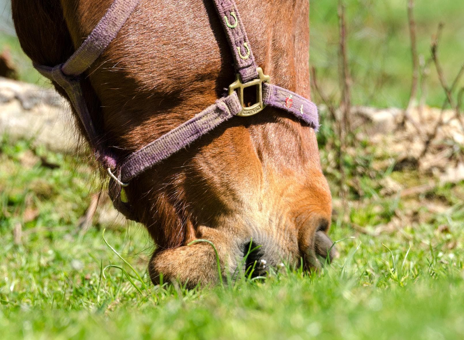 Getting spring ready