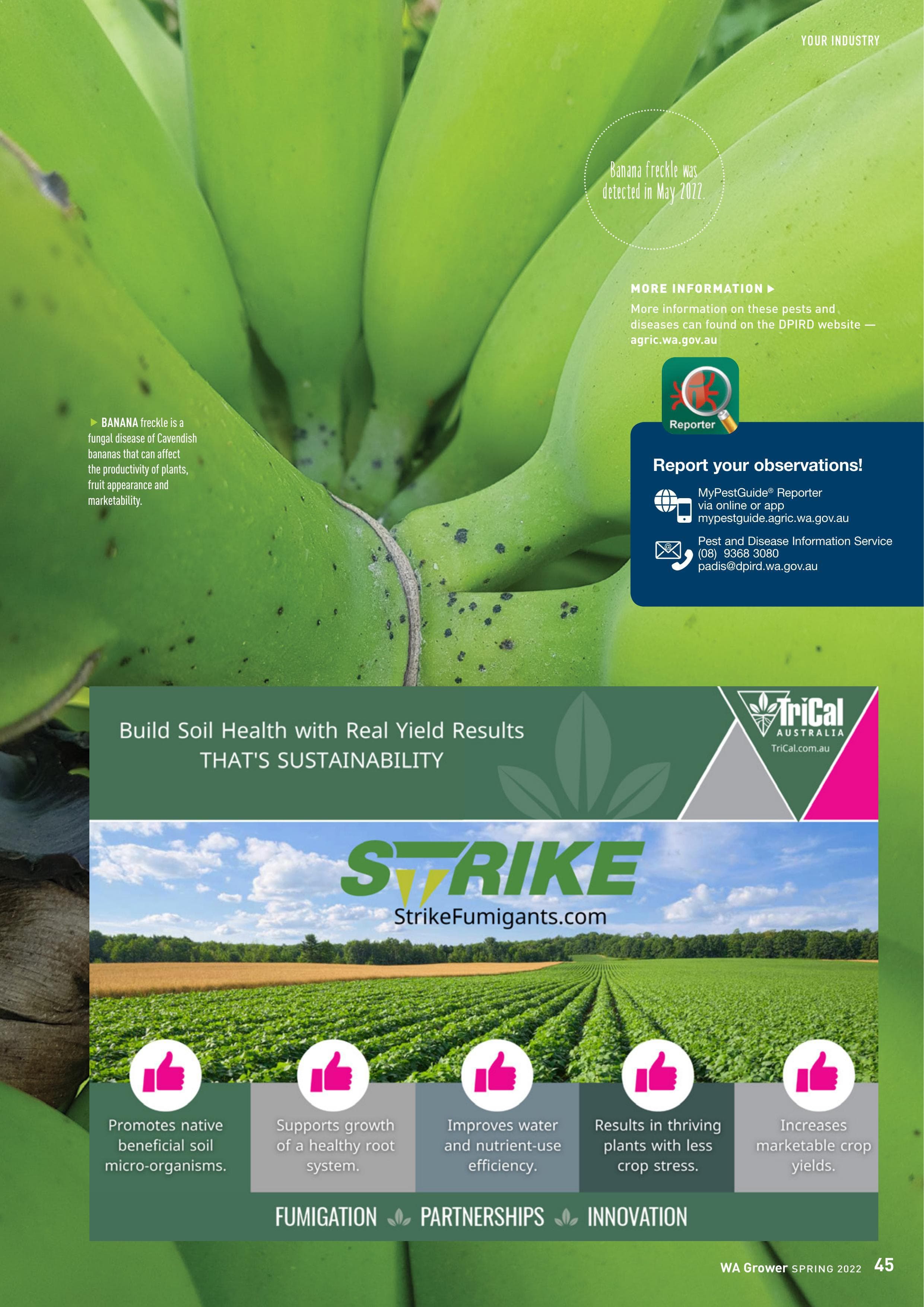 Strike Fumigants