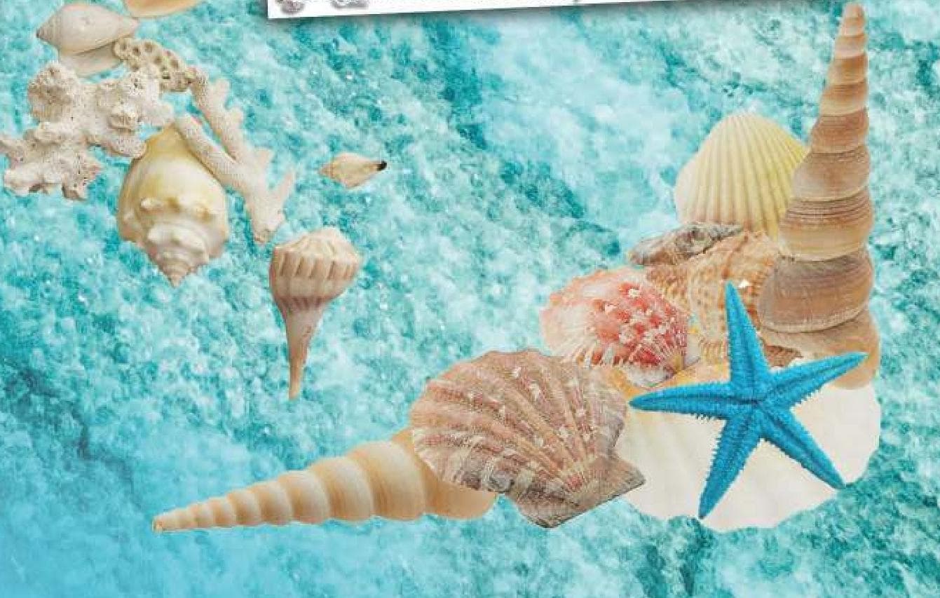 June Cover Photo Contest