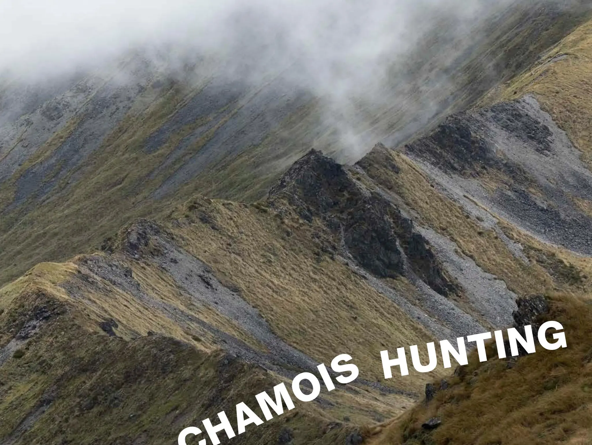 STAG & CHAMOIS HUNTING