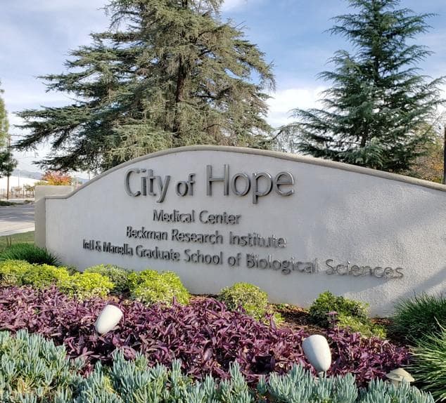 Potentially cancer-stopping pill given to first patient