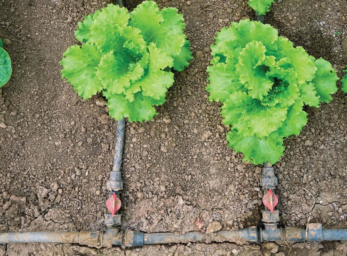 Gnangara Horticulture Water Use Efficiency Grant Program