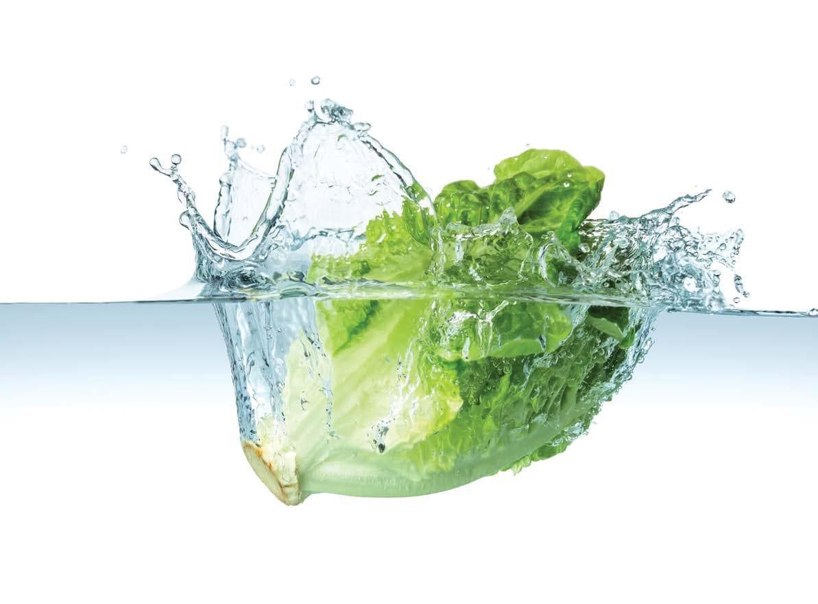 Cold plasma application in horticulture: towards a commercial reality