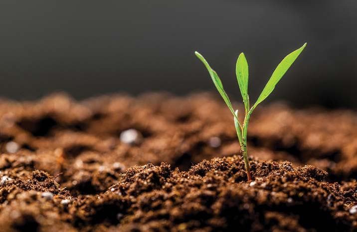 Top 10 grower resources from Soil Wealth ICP Phase 2
