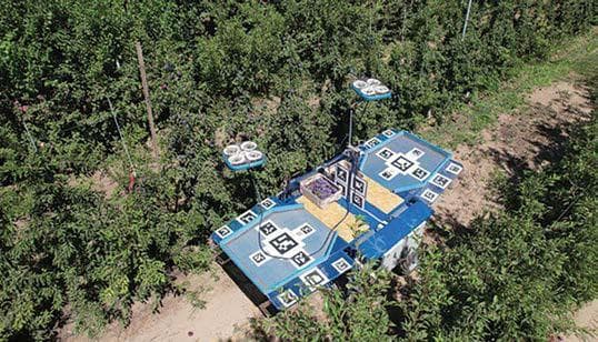 Autonomous drone harvest trial in stone fruit