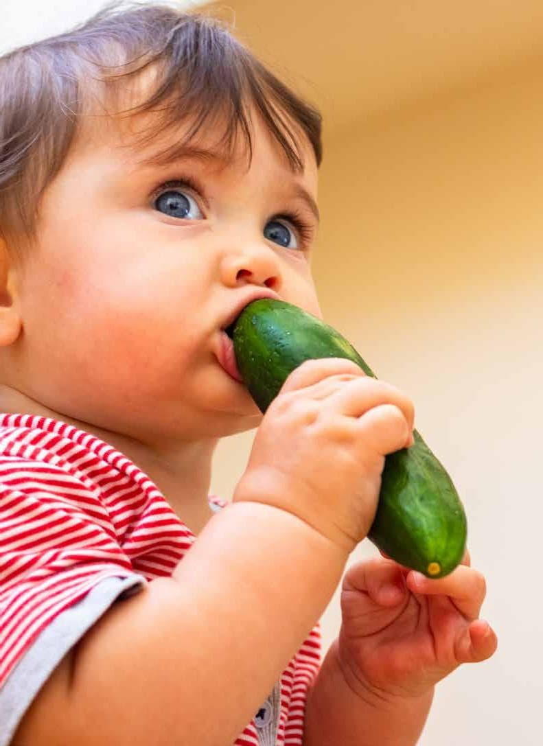 10 steps to going plant-based