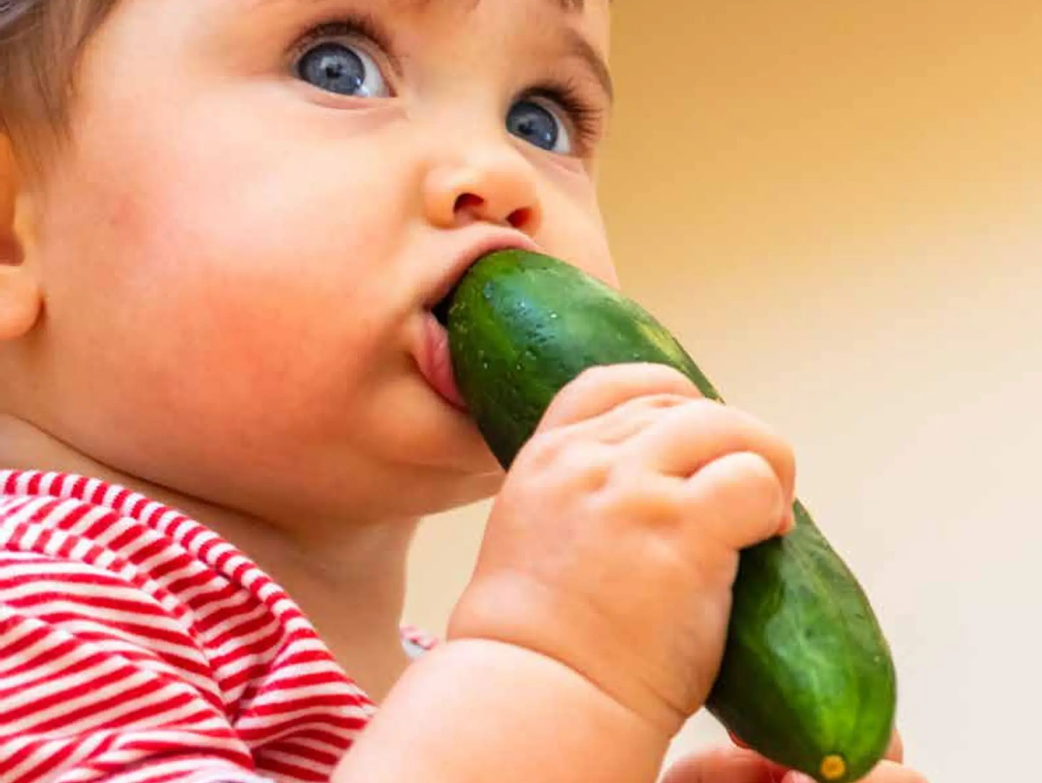 10 steps to going plant-based