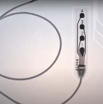 Fda Grants Approval To Wise For Neuromonitoring Cortical Strip