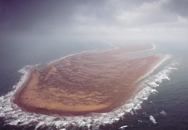 The Art Of The Shippe Swallower