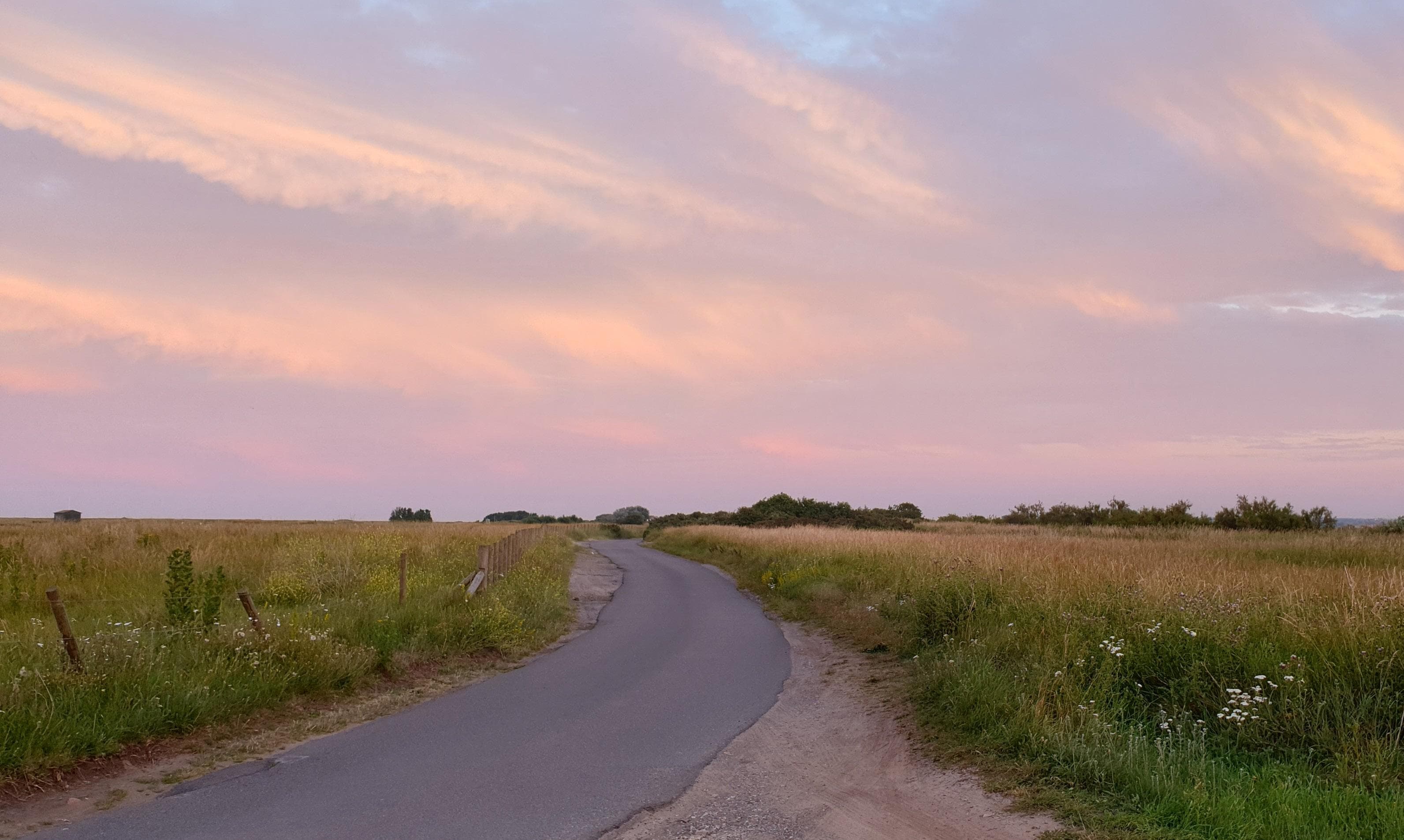 The Murder Of Mary Bax