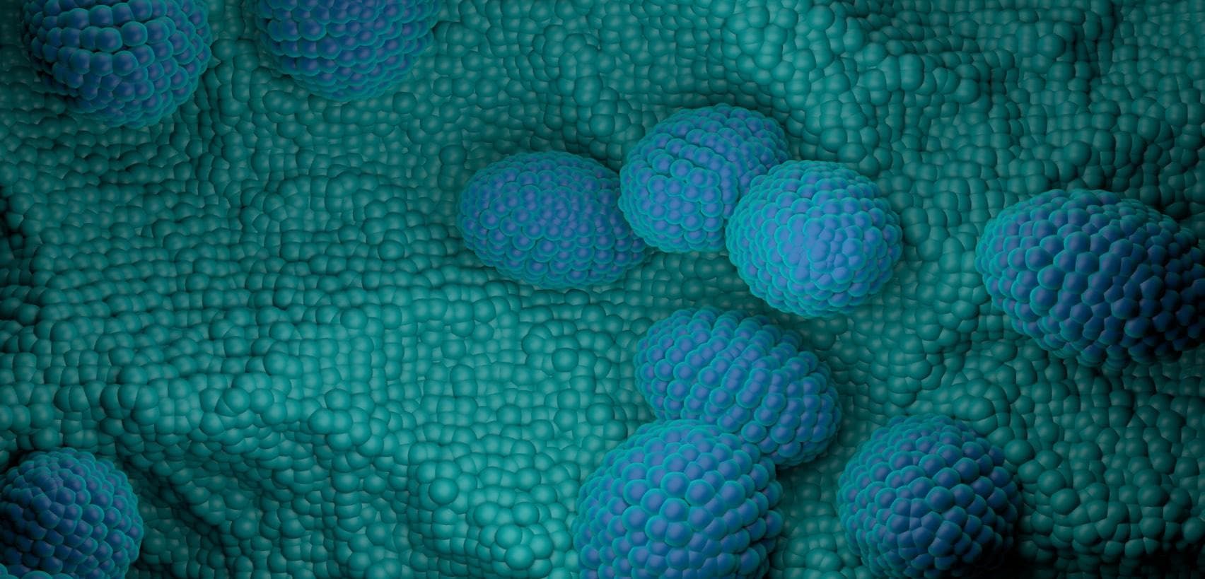 Five Facts About Prostate Cancer