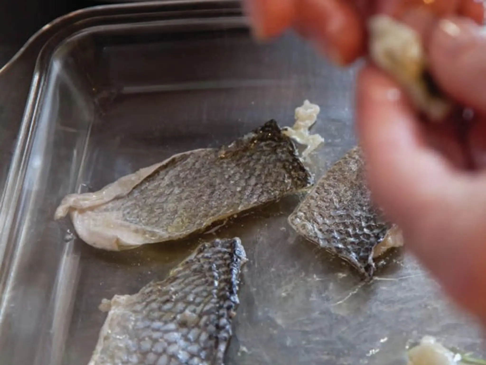 Nose to Tail Recipes: FISH SKIN
