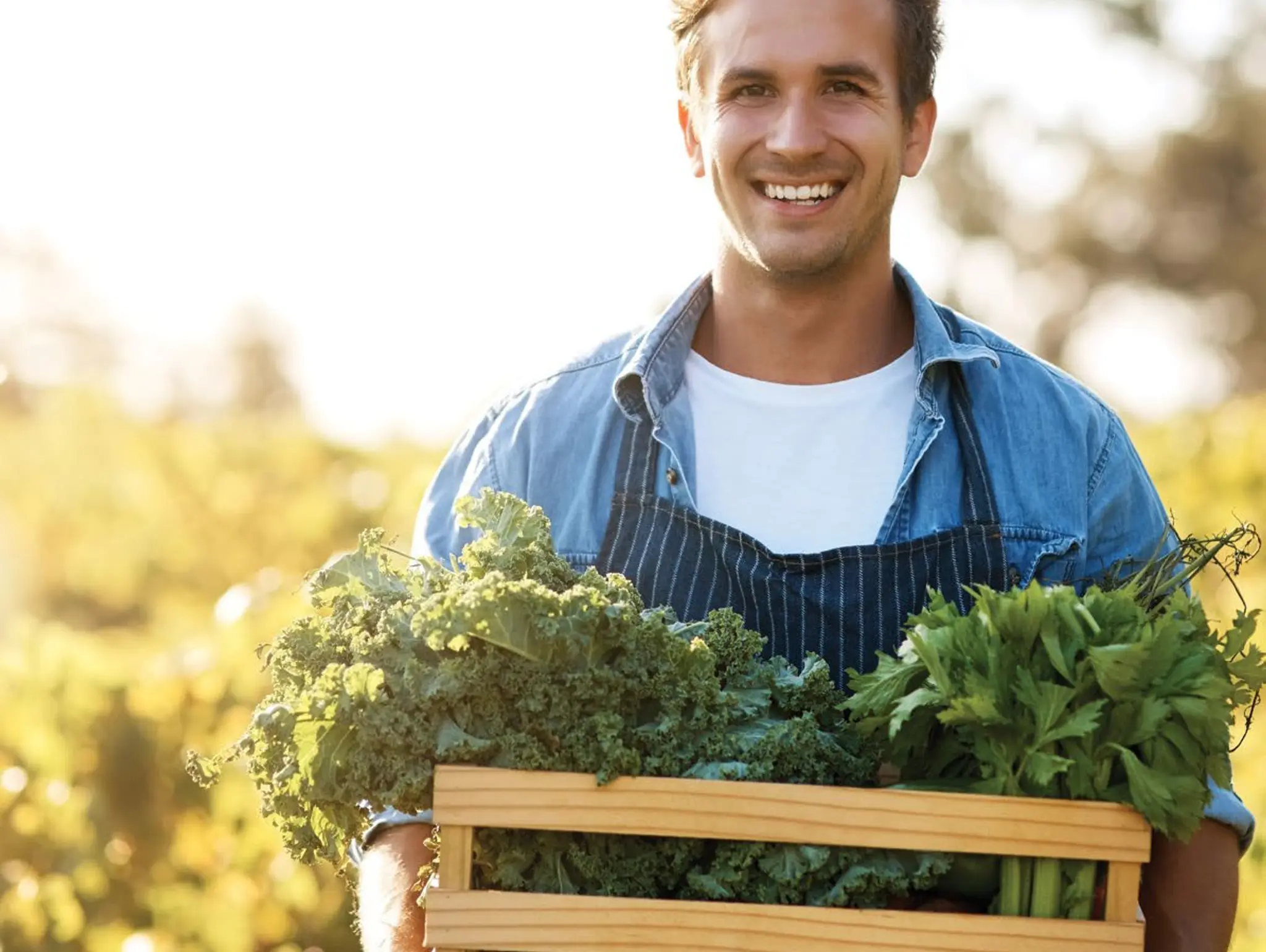 How are you performing?