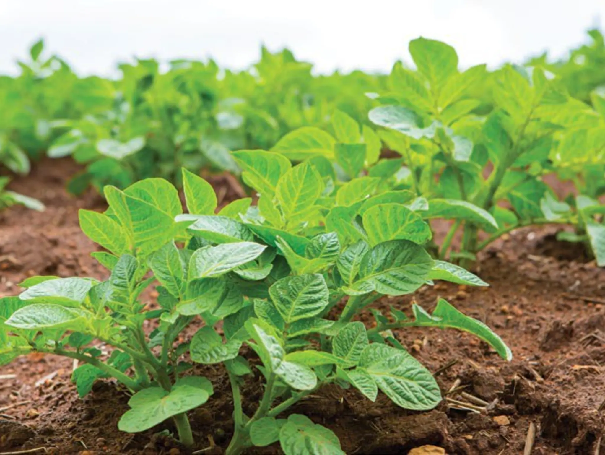 Let’s talk biosecurity