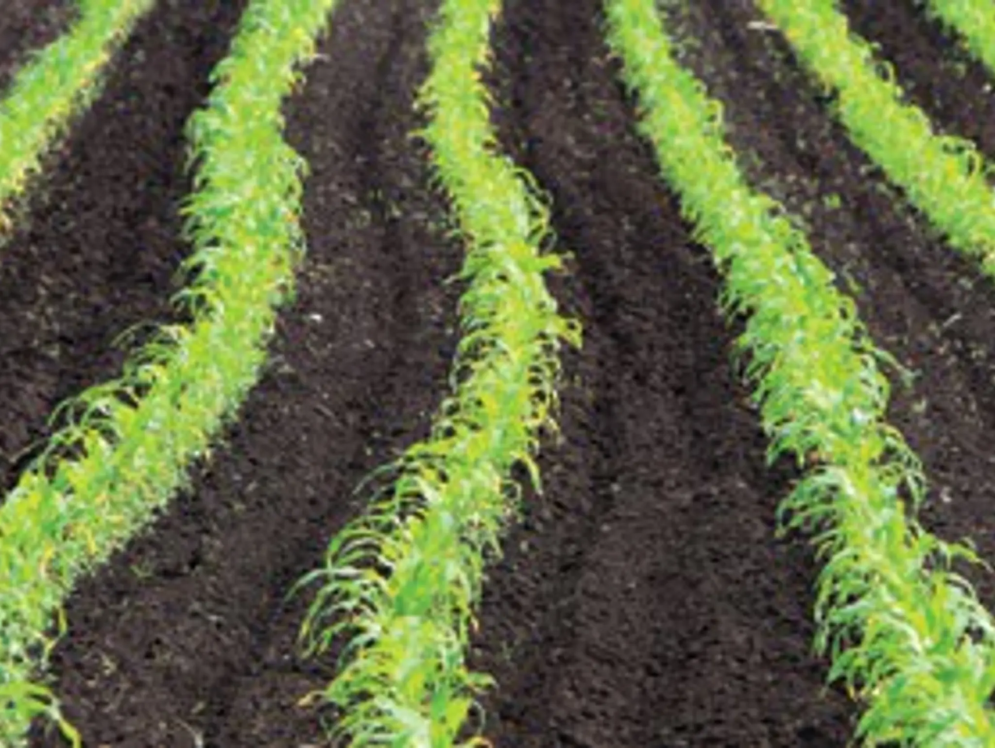 Hort Connections 2023