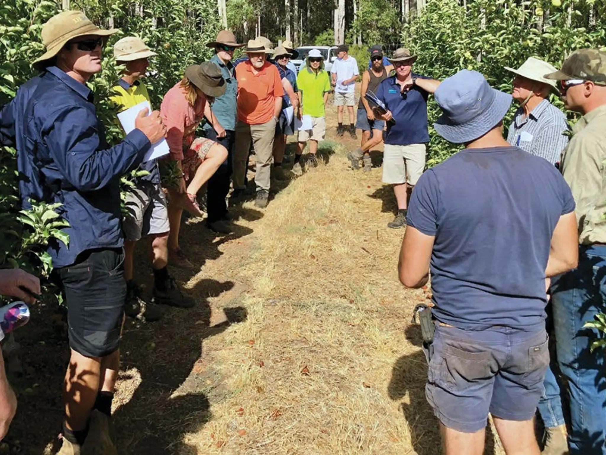 Pre-harvest Walk 2023