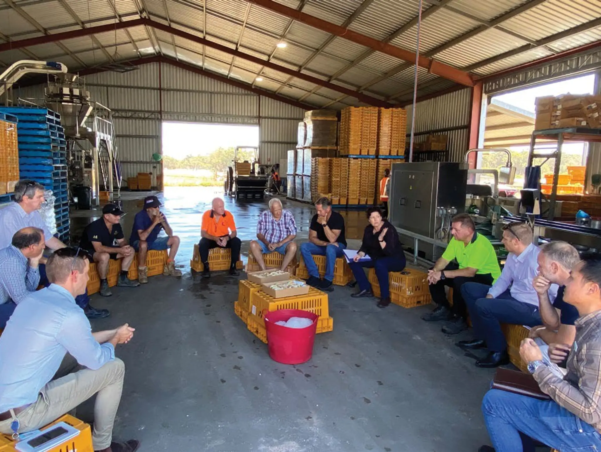 vegetablesWA CEO’s Report