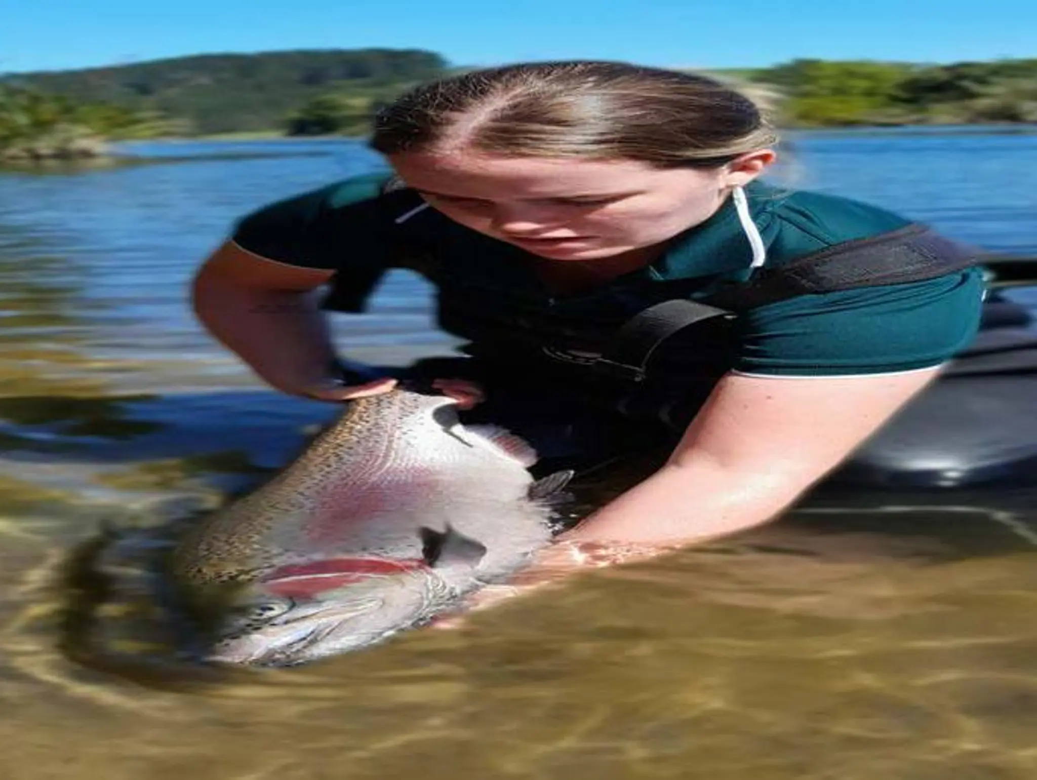 News: BIG TROUT RELEASE FOR LAKE MCLAREN