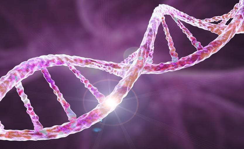 Oxford Nanopore and 4bases collaborate on kit for BRCA1 and BRCA2 gene analysis