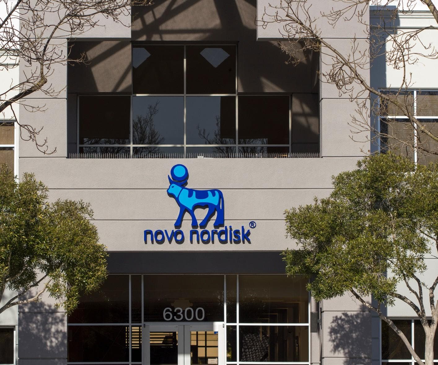 Novo Nordisk to cut insulin prices by up to 75% in 2024