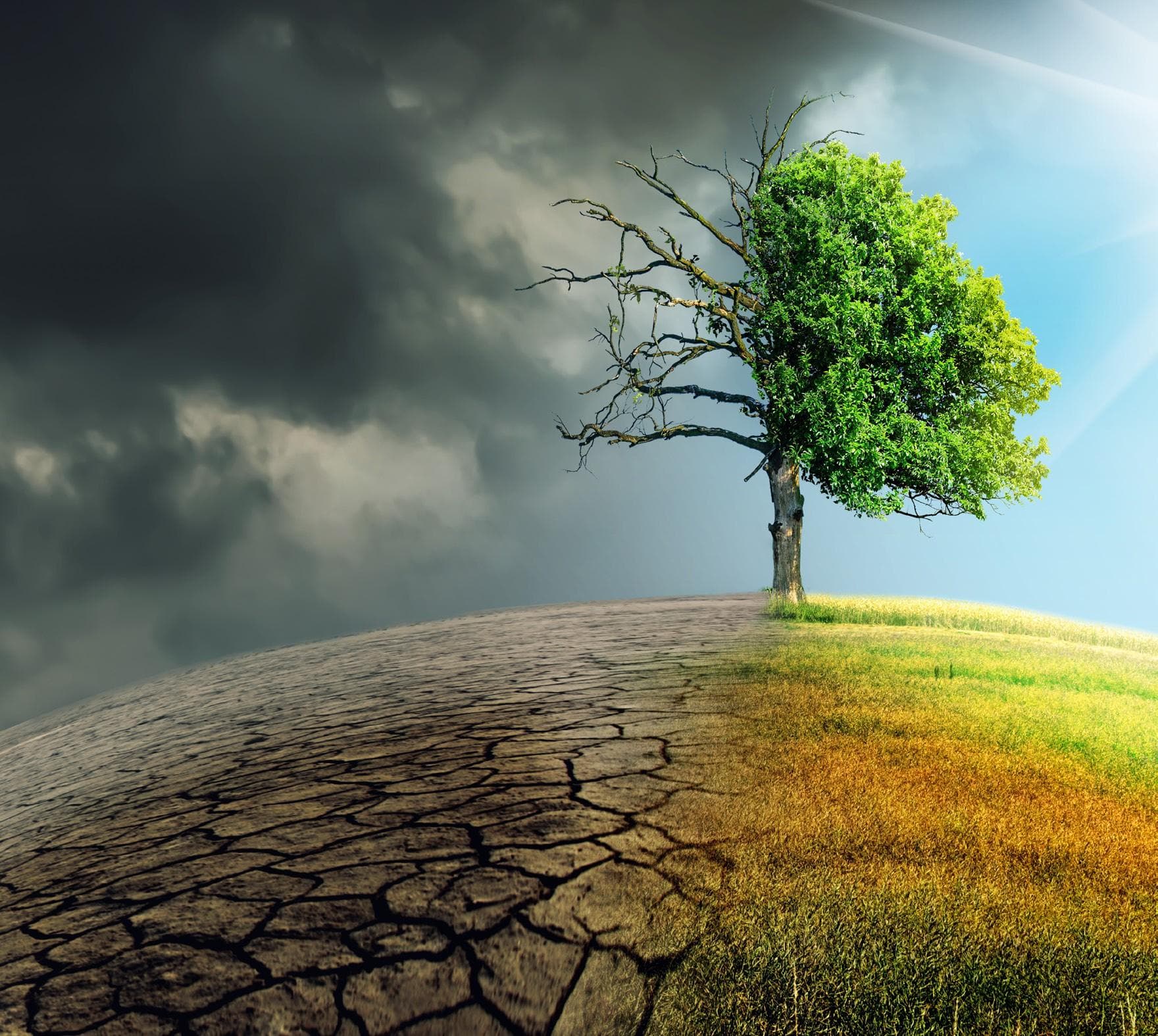 Five facts about climate change and health