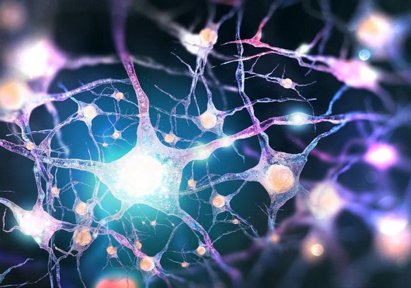 Neuspera Medical receives FDA approval for peripheral nerve pain system