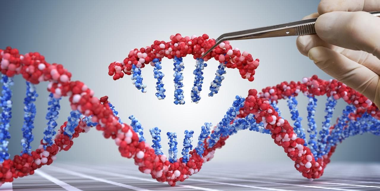 SNIPR Biome reports positive findings for first-in-human, CRISPR-based microbial gene therapy