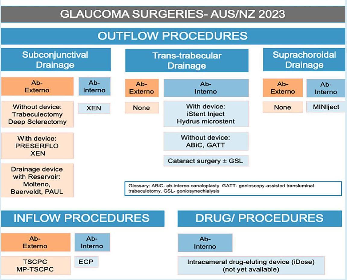 Surgical Management of Glaucoma in 2023: What’s New & What’s Still Working
