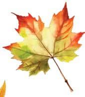 Exploring the great outdoors