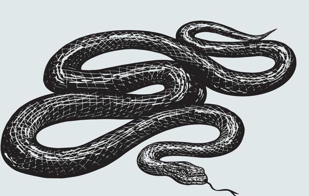 The short tale of a lethal cock-tail