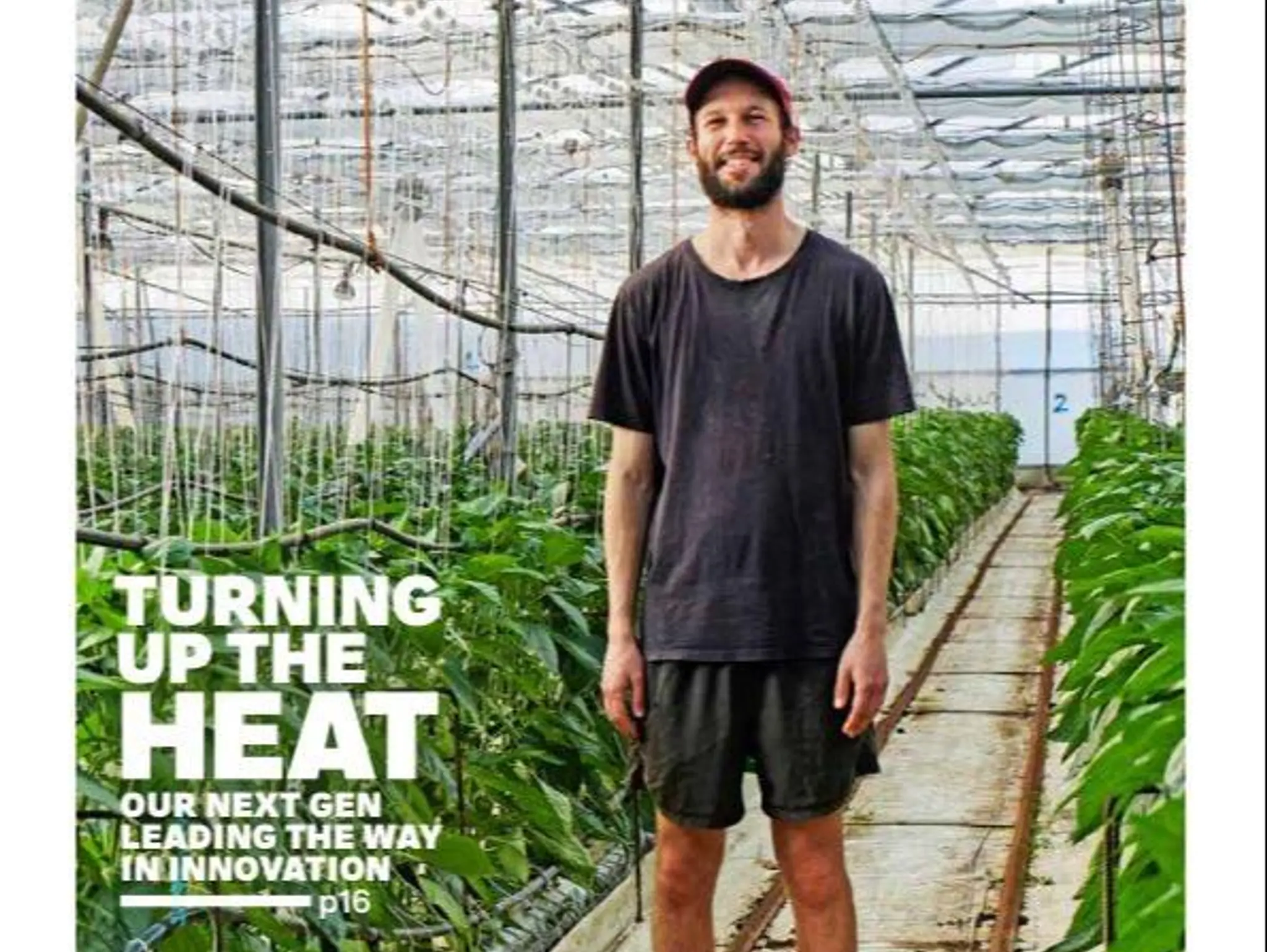 TURNING UP THE HEAT