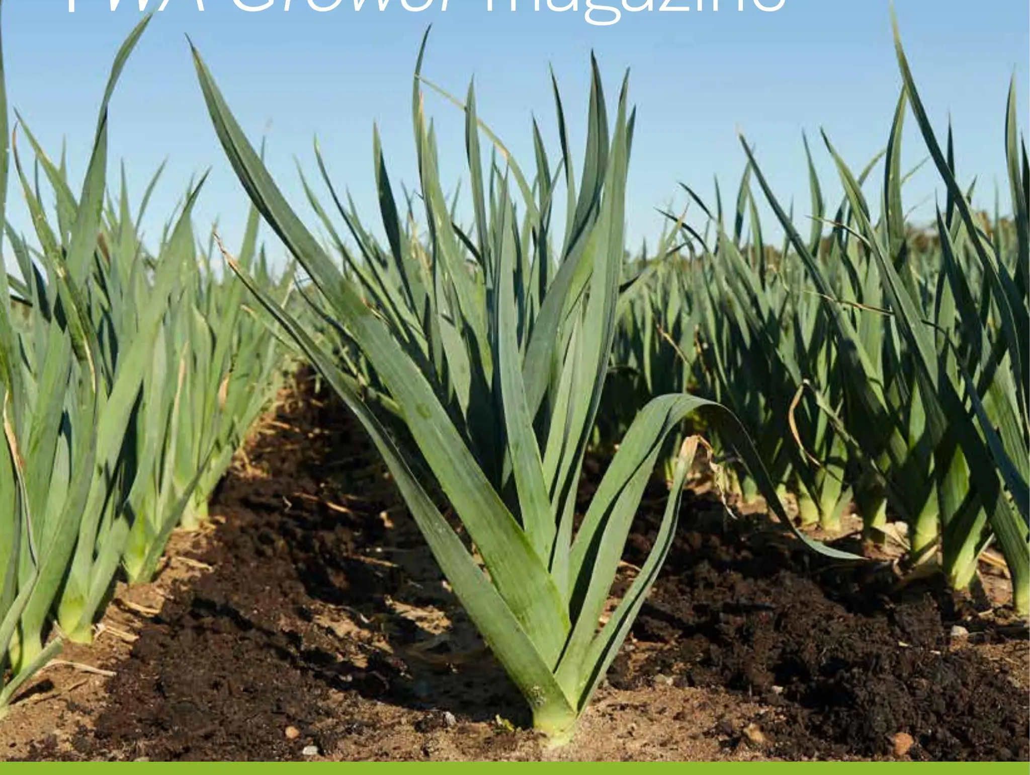WA Grower