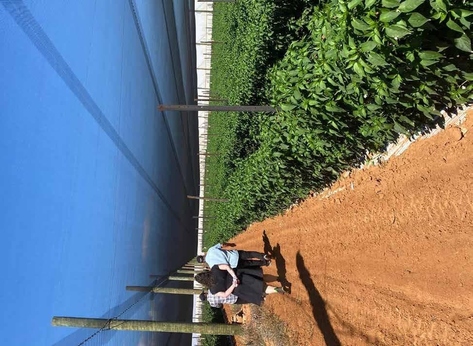 WA Biosecurity Video Series Out Now