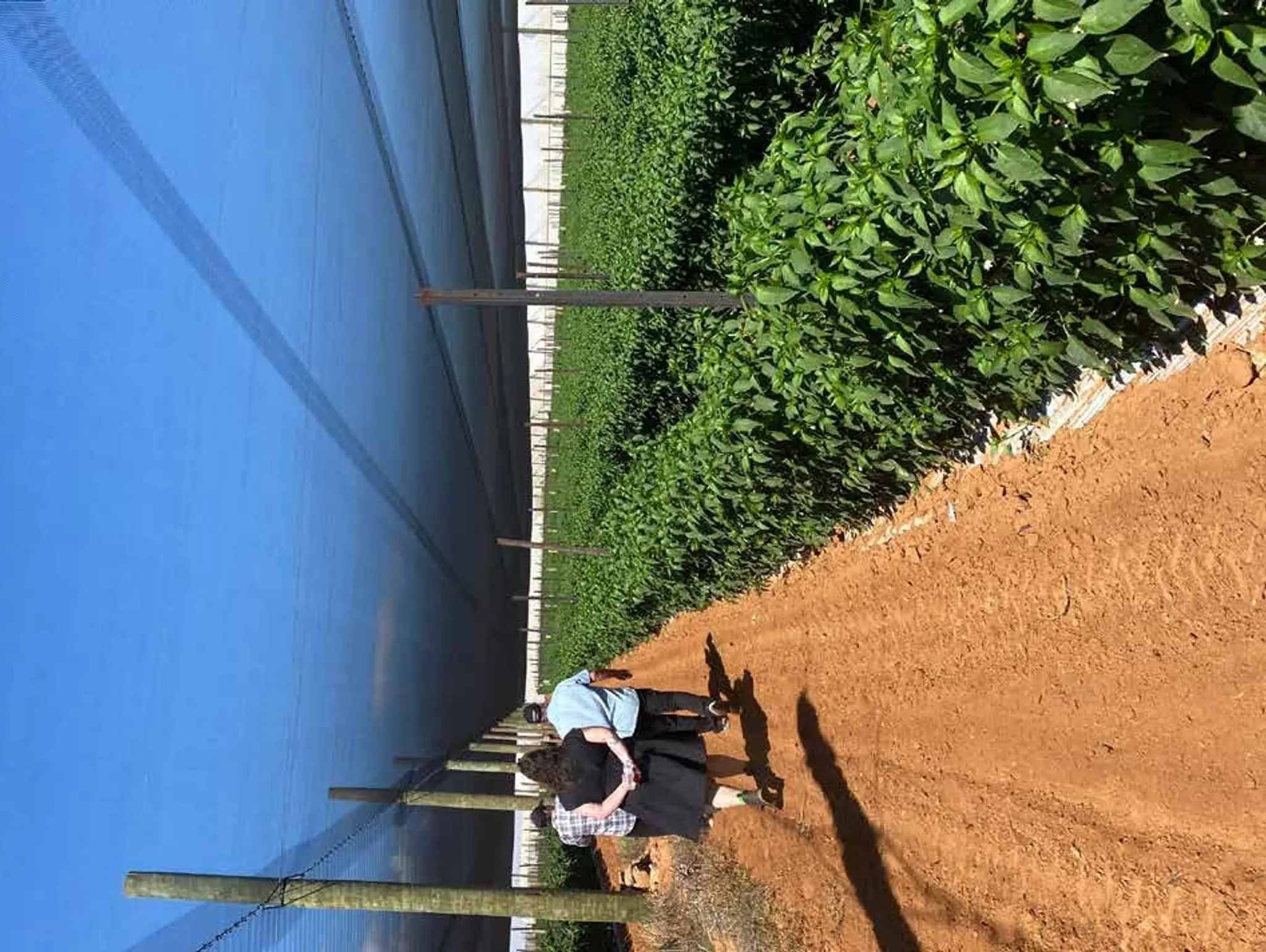 WA Biosecurity Video Series Out Now