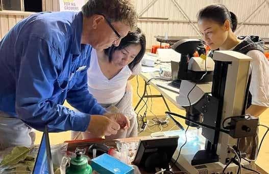 CHUỖI CÁC HOẠT ĐỘNG VÀ HỘI THẢO VỀ AN TOÀN SINH HỌC