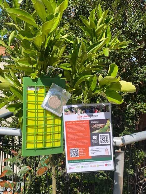 Become an EARLY DETECTOR