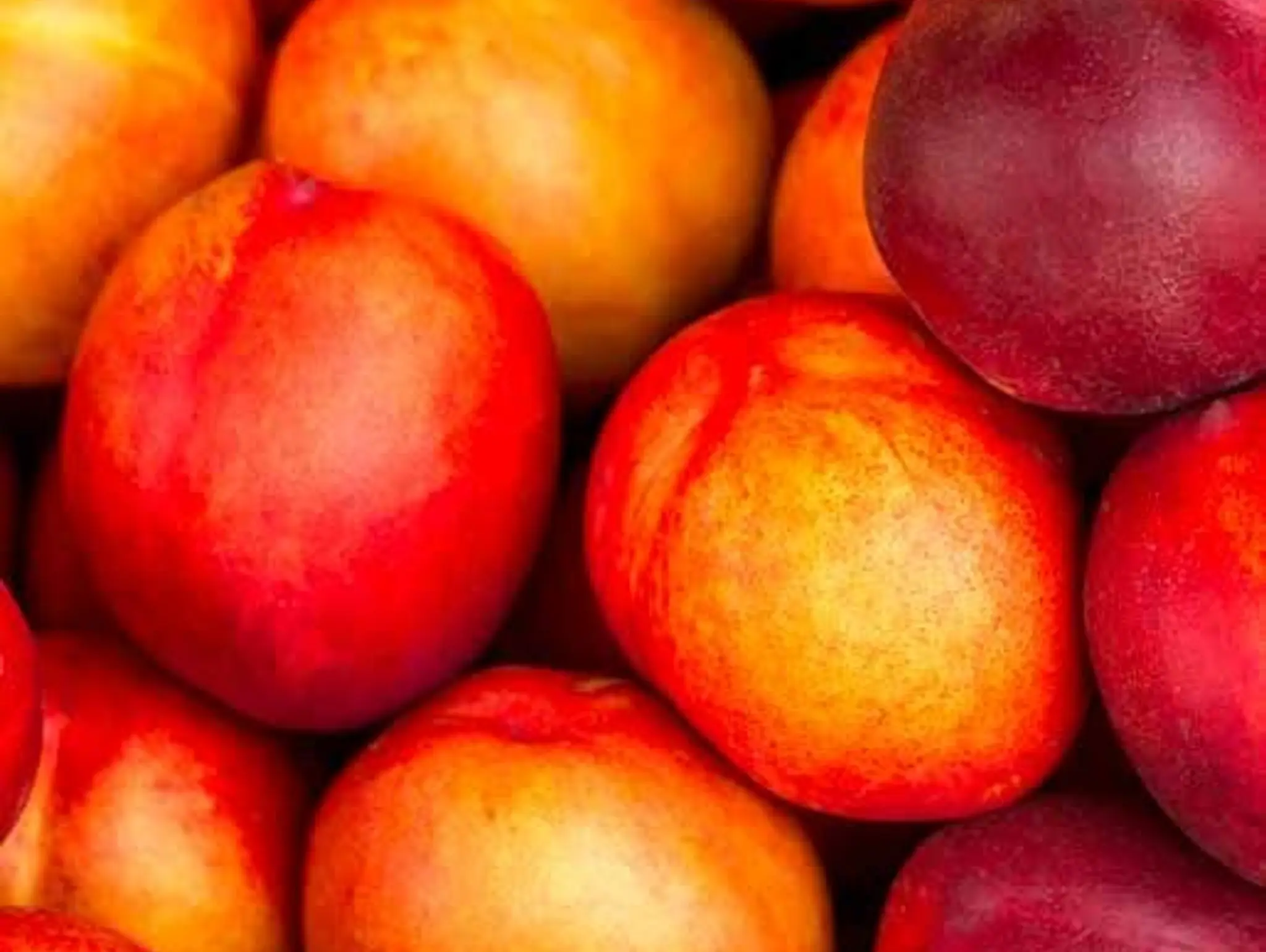 STONEFRUIT WA Report