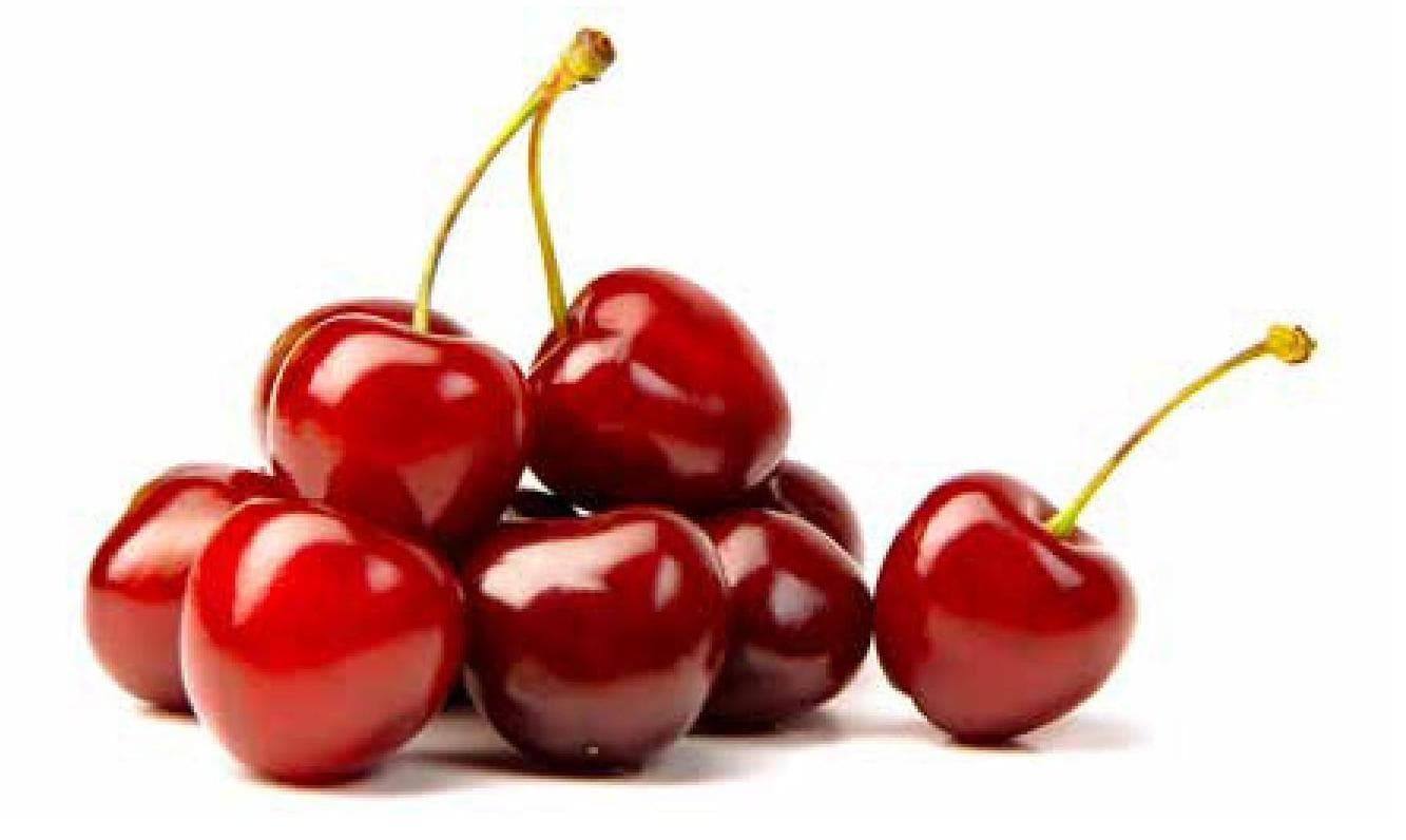 WORLD OF opportunity