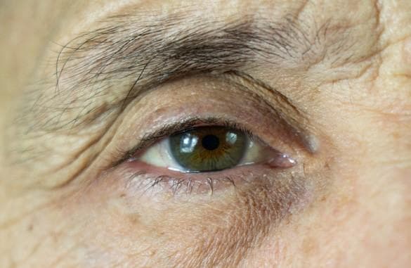 Regeneron announces two-year results from PULSAR trial for wet age-related macular degeneration