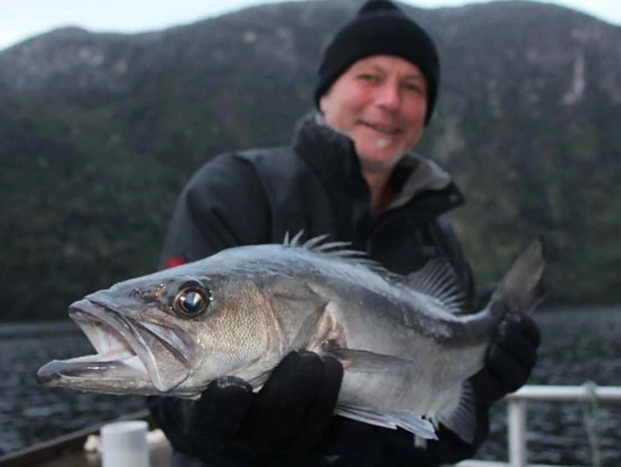 NEW RULES FOR FIORDLAND FISHERY