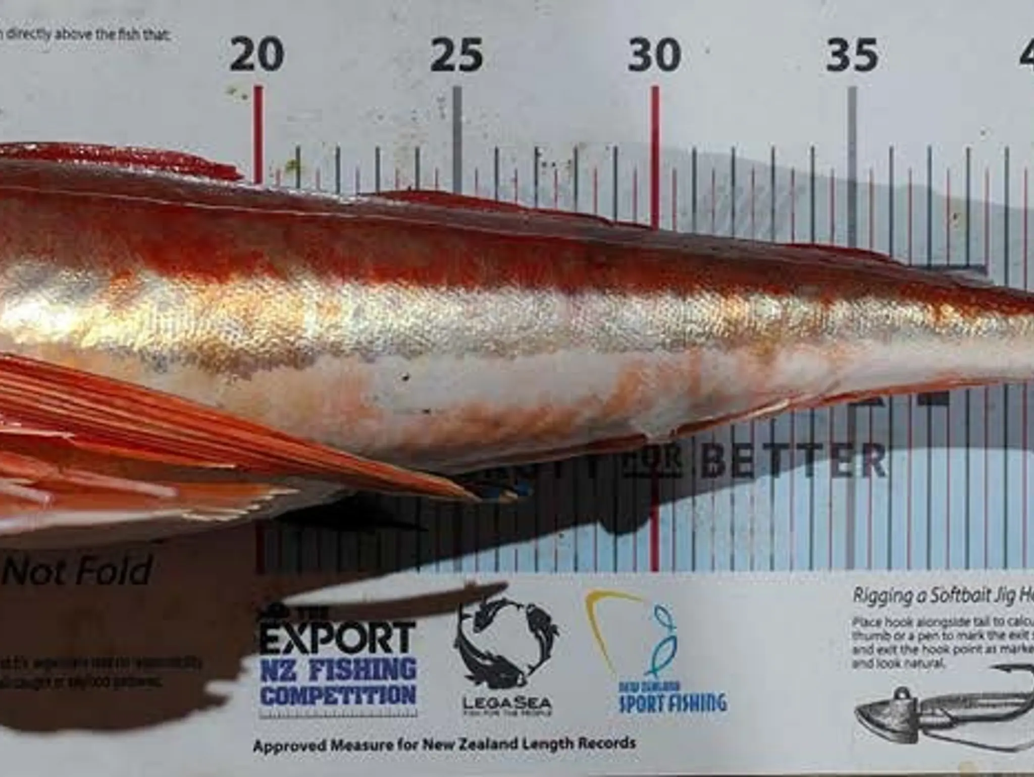 PRIZES GALORE-THE EXPORT NZ FISHING COMP