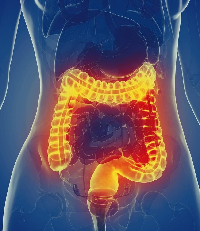Sanofi and Teva announce partnership for development of inflammatory bowel disease treatment