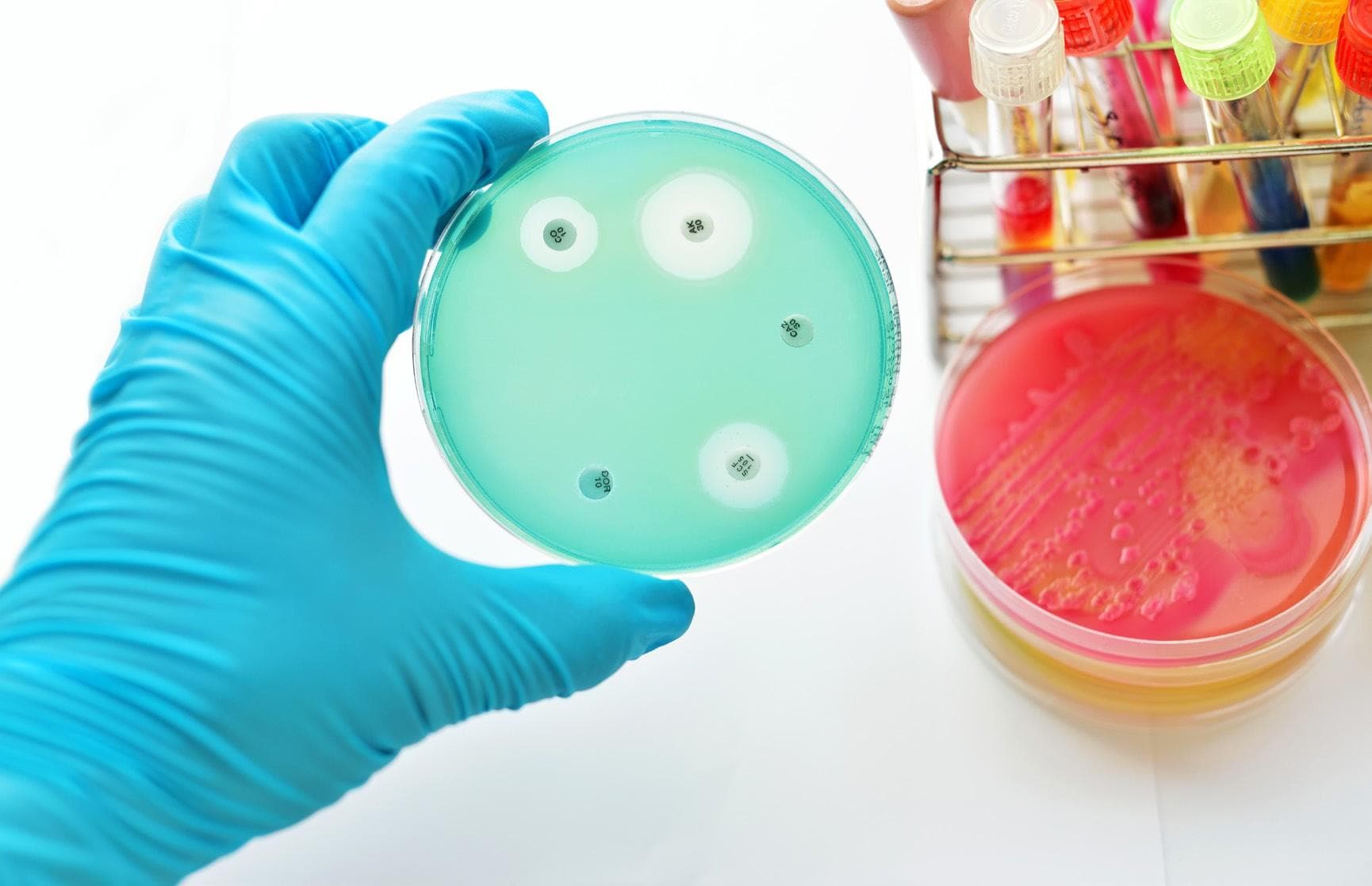 BactiVac shares development of bacterial vaccines to prevent infections against AMR