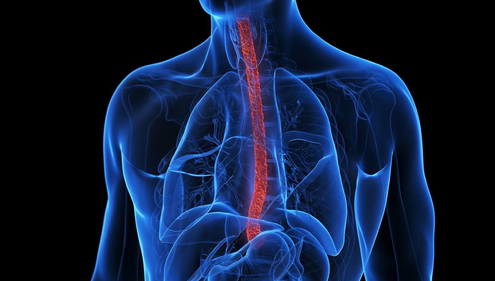 FDA accepts Regeneron and Sanofi’s sBLA for Dupixent for priority review