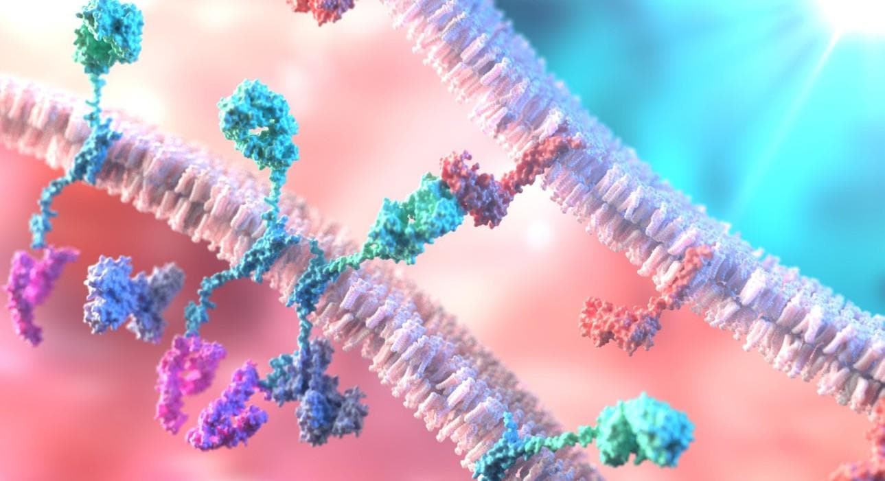 Boan Biotech enrols first patient for Nivolumab phase 3 trial in China