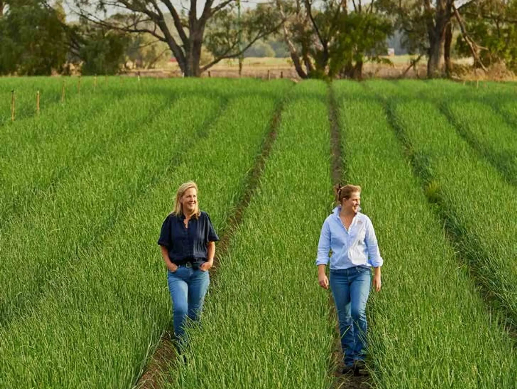 WA Grower