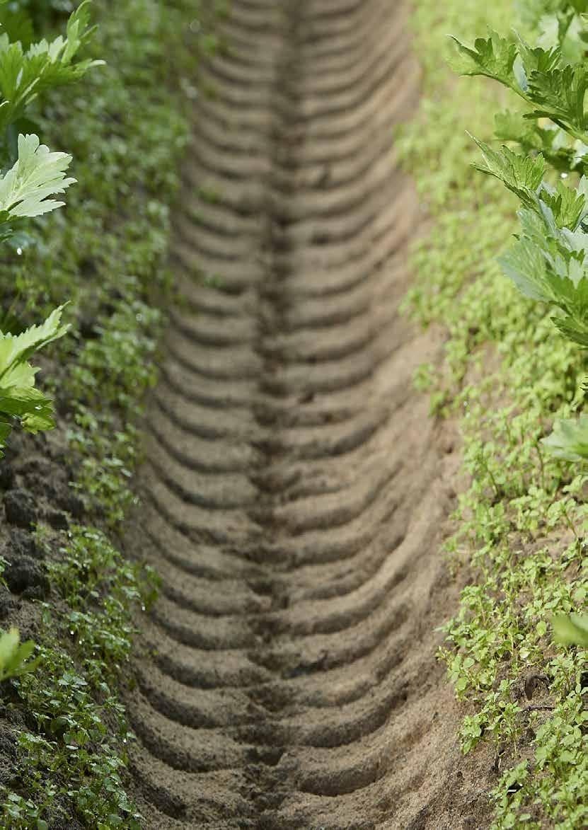 What price carbon farming?