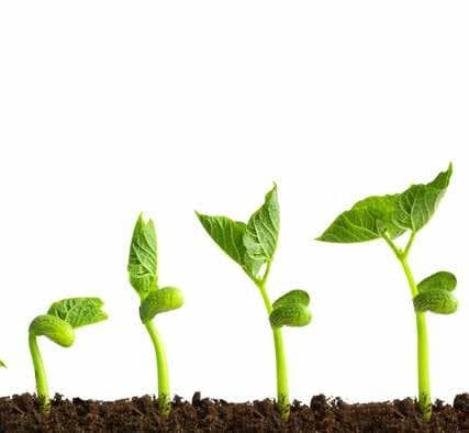 All about Sustainability